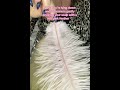 Pink Feather ASMR – Your Head Deserves This 💗 #relax #asmr #visualtingle #asmrshorts