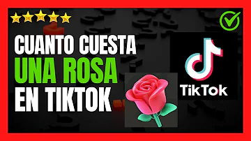 ¿Cuánto dinero son 500 rosas en TikTok?