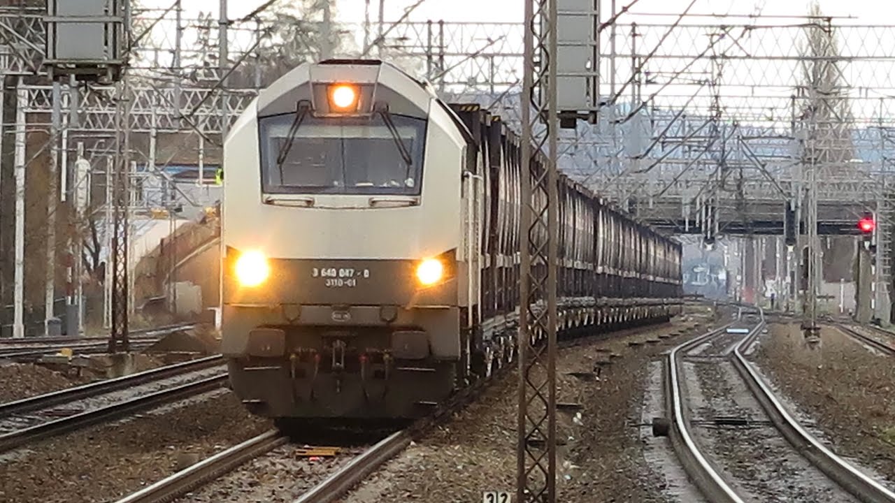 NEWAG 311D-01 na stacji kolejowej Sopot Cedrob CARGO