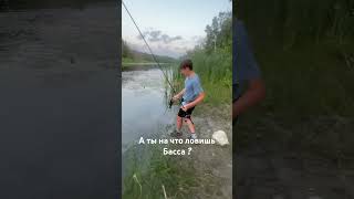 Попер за $35😲 #рыбалка #fishing #bass #попер #рыба #fyp