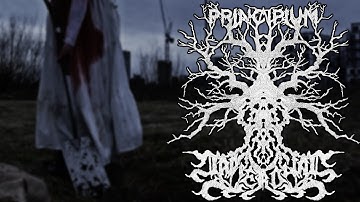 MYLINGS - OFFICIAL MUSIC VIDEO - NAPIERDALAĆ