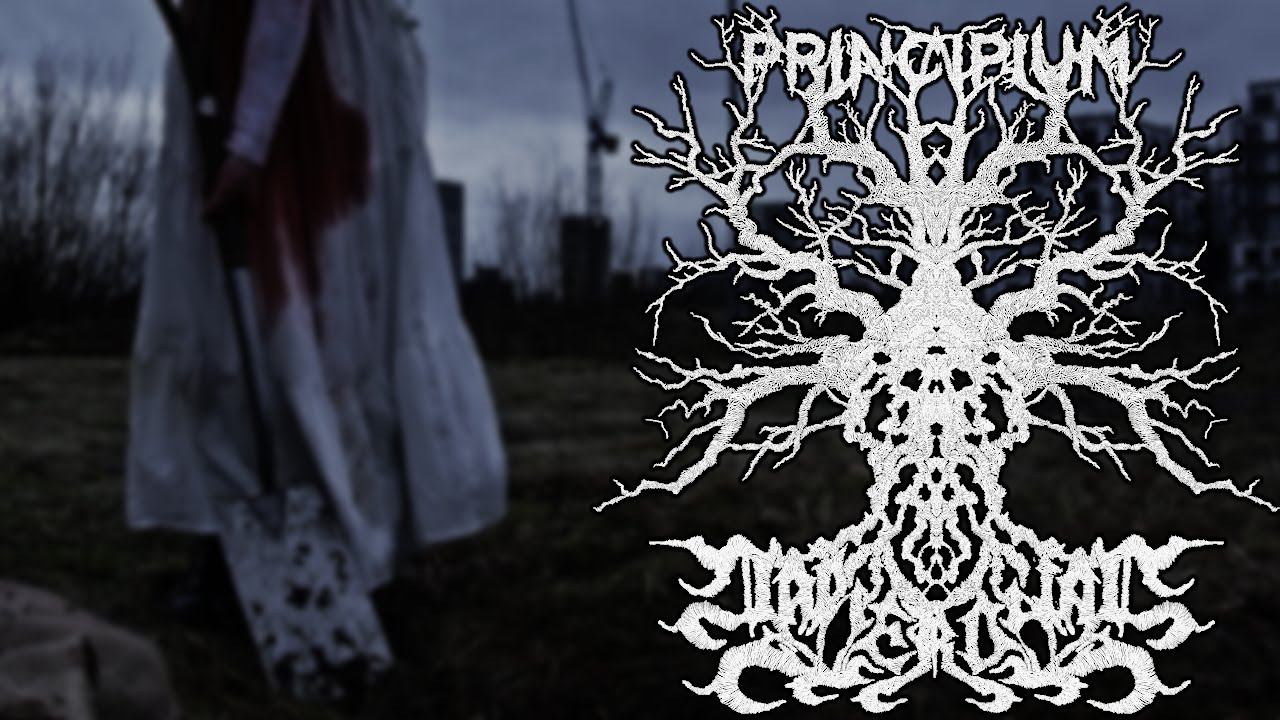 MYLINGS - OFFICIAL MUSIC VIDEO - NAPIERDALAĆ