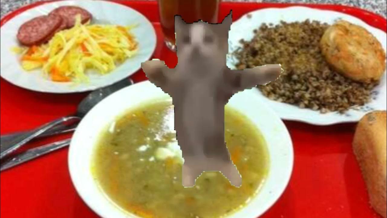 Шнапи шнапи шнапи мем с котом