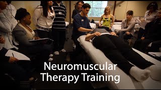neuromuscular therapy nmt massage therapy school national holistic institute nhi