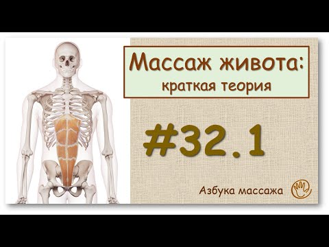 Массаж живота (краткая теория) | Урок 32 | Обучение массажу