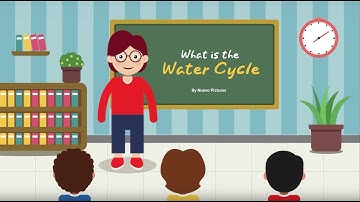 What is The Water Cycle? - Animated Video For Kids