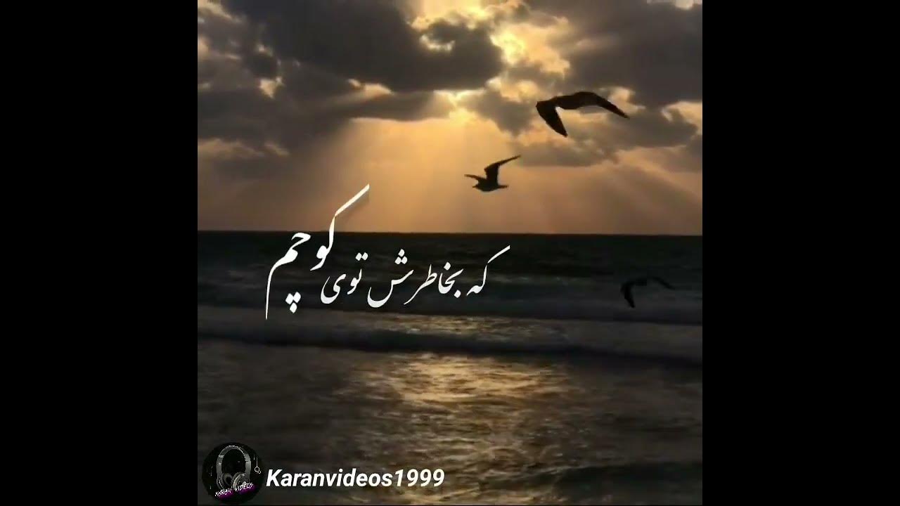 arash & masih