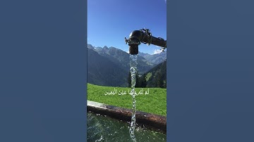 #foryou #قرآن #explore #quran #ماهر_المعيقلي #راحة_نفسية #viral #سورة_التكاثر