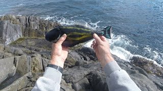 Kangaroo Island Easter 2024 Part 7 Final  Western River Rock Fishing #kangarooisland #rockfishing