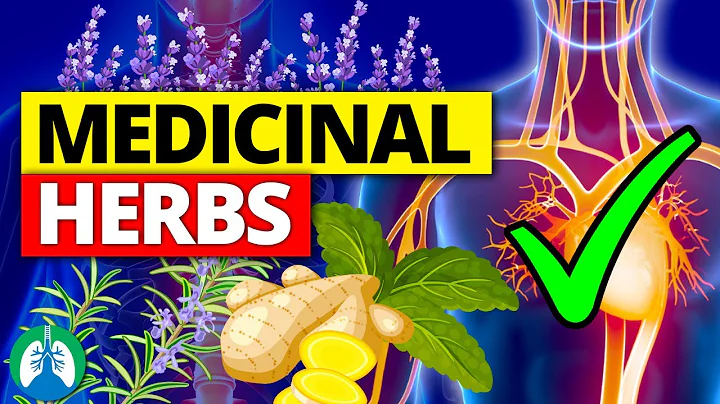 🌱Top 10 Most POWERFUL Medicinal Herbs (Backed by Science) - DayDayNews