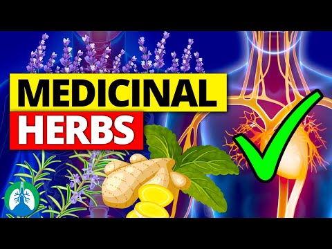 Video: De ce sunt importante plantele medicinale?