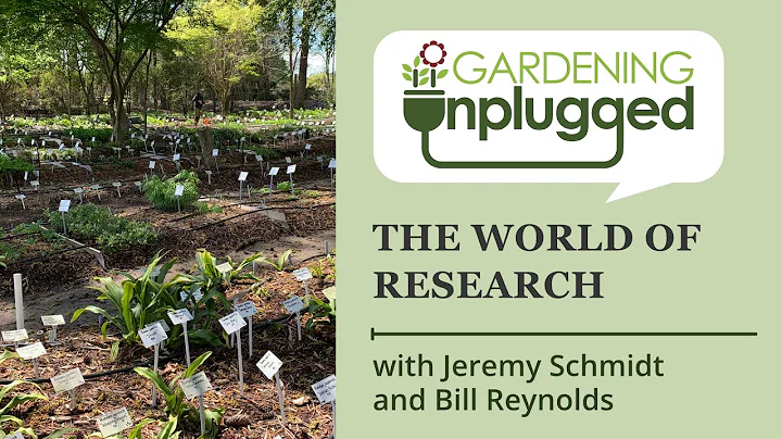 Gardening Unplugged - The world of research: Bapti...