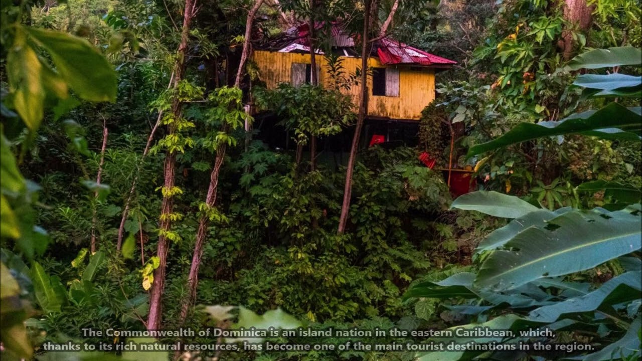 J75A Dominica. From DXNews.com