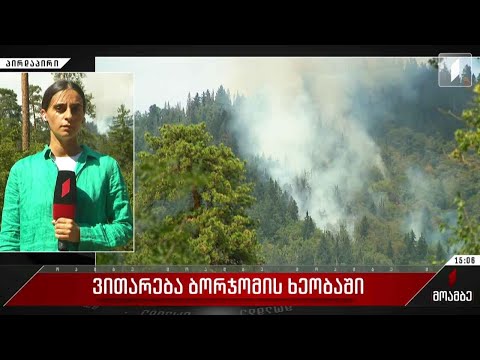 ბორჯომში ხანძრის ქრობის სამუშაოები გრძელდება