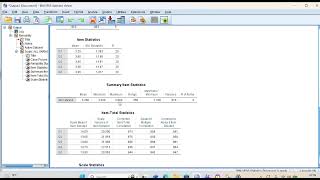 Cronbach's Alpha Reliability Test in SPSS | Measure Questionnaire Reliability Step by Step