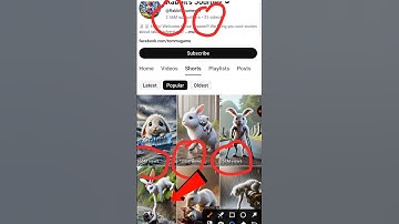 😾Rabbit Journey जैसा Video बनाना चाहते हैं तो नीचे Click करें।। #copypaste #shorts #rabbit #facts