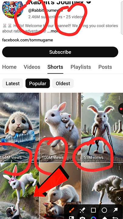 😾Rabbit Journey जैसा Video बनाना चाहते हैं तो नीचे Click करें।। #copypaste #shorts #rabbit #facts