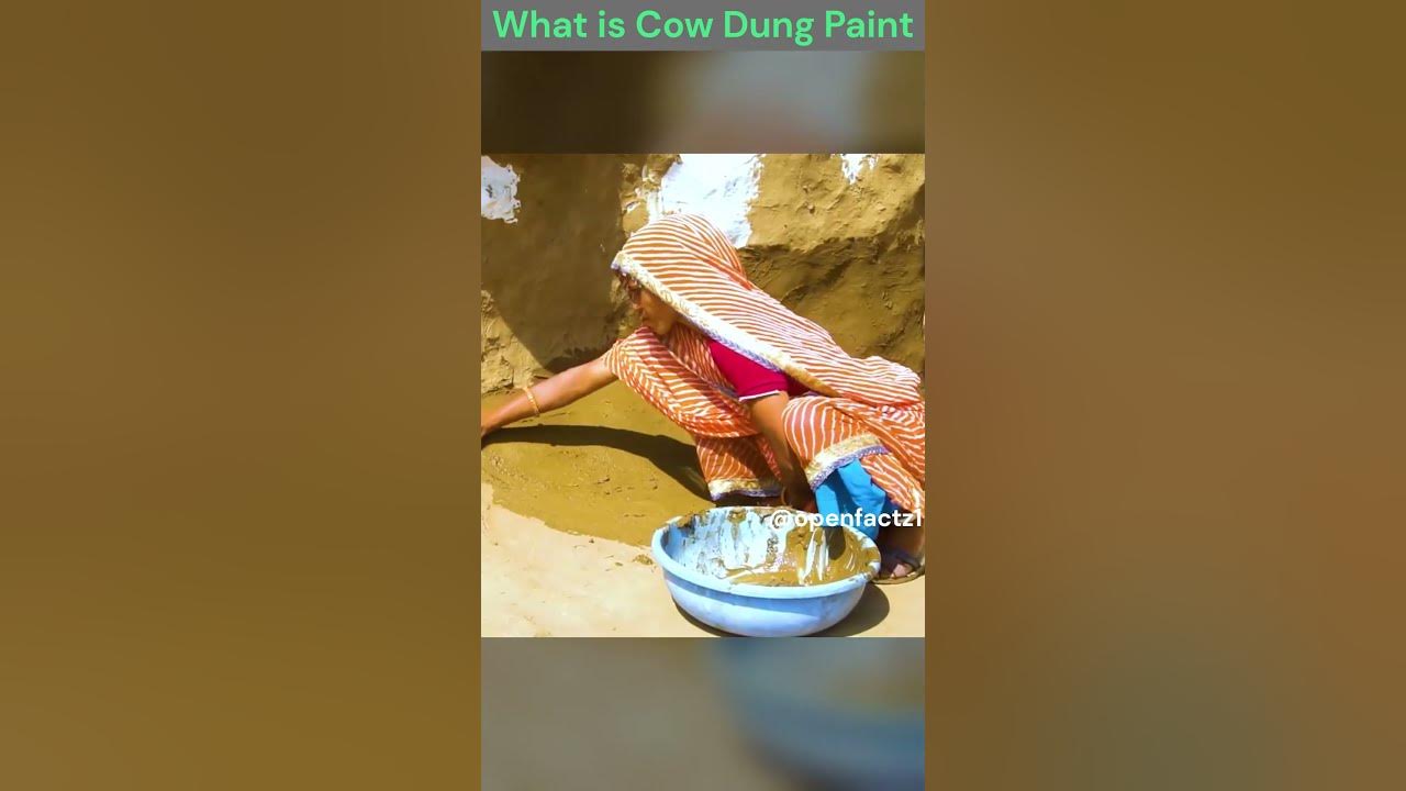 what-is-cow-dung-paint-shorts