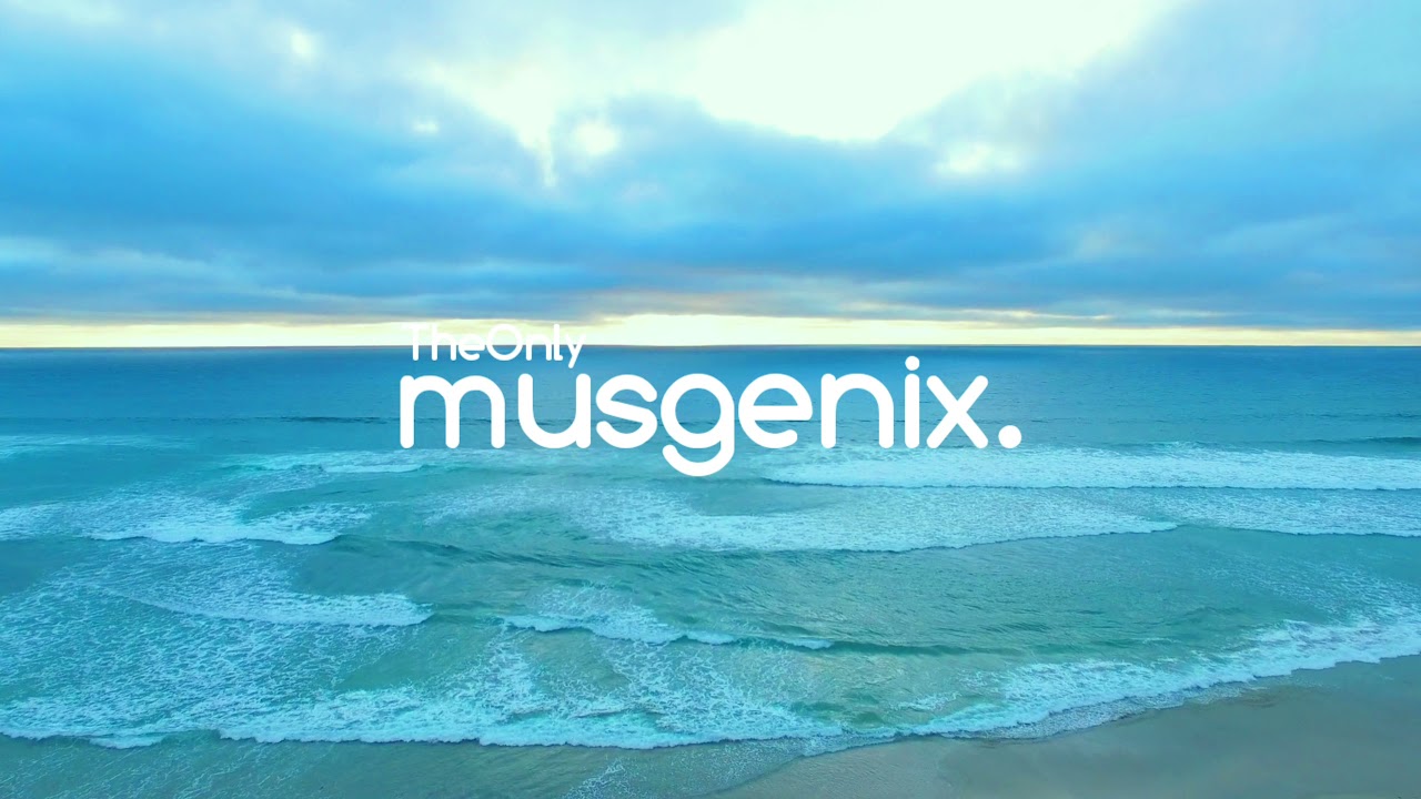 Fog Lake | Tragedy Reel