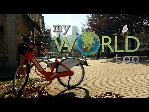 My World Too | S1 | Ep6 |  The Bee Store, Regenerative Farming, and a Free Fare City Transit System
