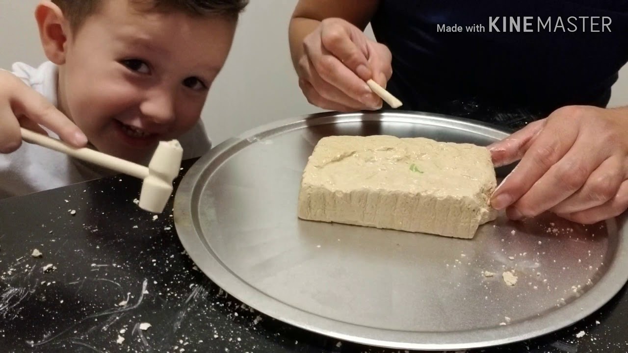 dinosaur dig kit science squad