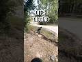 Cleaning out this culvert ditch #rentalproperty #homeimprovement #dig #DIY