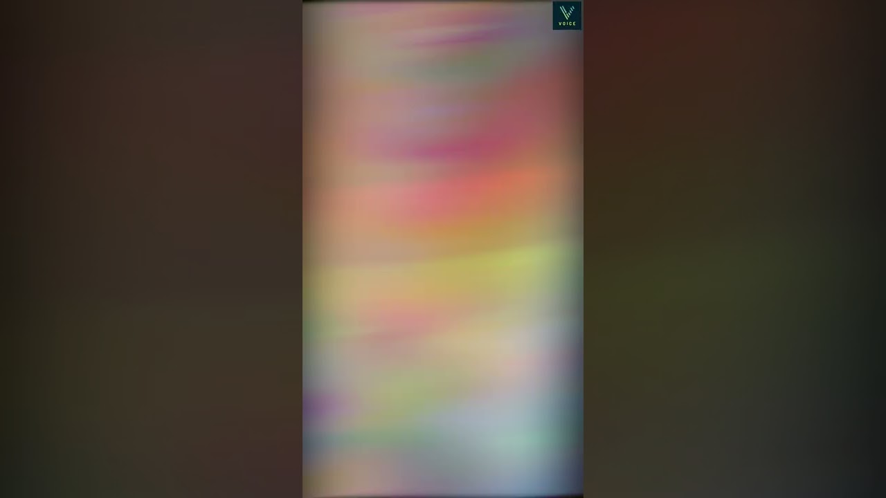 Elon Musk fired Parag Agarwal 