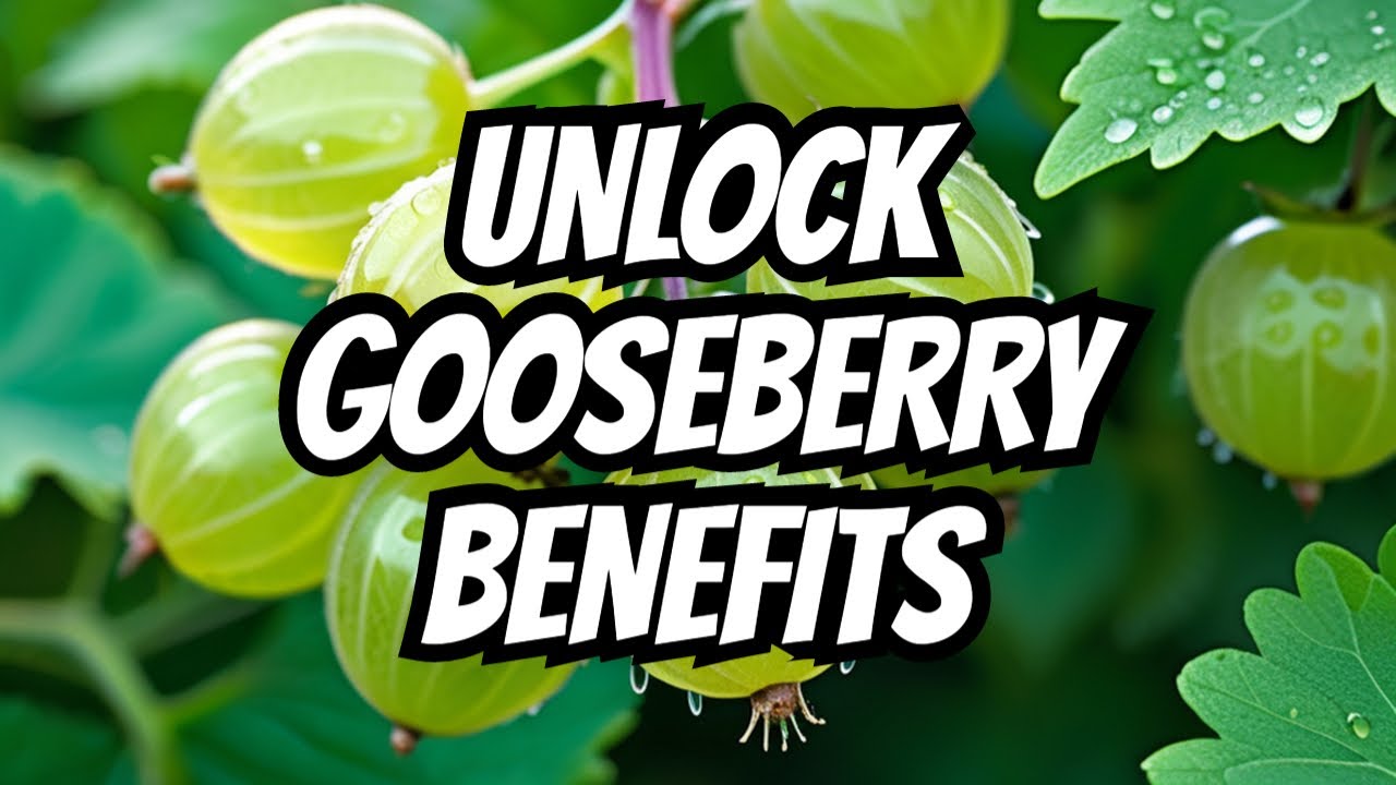 "The Incredible Health Benefits of Gooseberries revealed!" YouTube