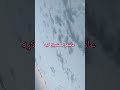 بمیرم ای دل ای دل