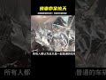 他用8根肋骨換掉妻子的性命，即使自己被撞到近乎殘疾也在所不惜 #名偵探柯驢 #案件 #探案 #懸案 #懸疑