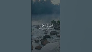 تلاوة خاشعة مع آيات مختارة من القرآن الكريم #81