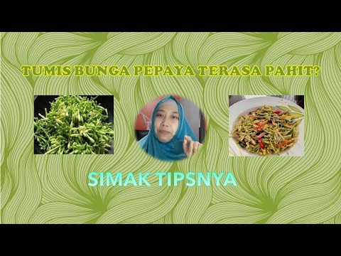 tumis bunga  pepaya  tidak  pahit  YouTube