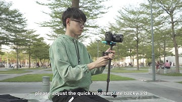 PULUZ Carbon Fibre Handheld Stabilizer for DSLR & DV Digital Video & Cameras