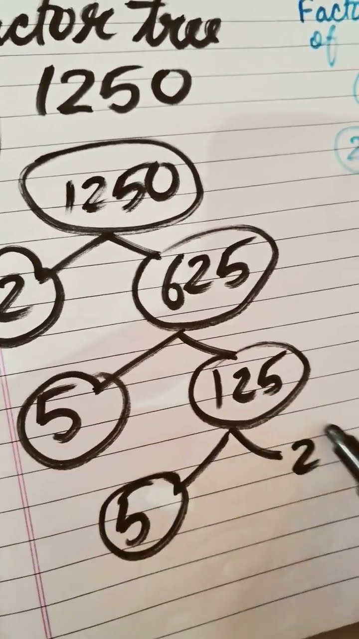 Prime Factors Of 1250 Factor Tree Of 1250 YouTube Prime Factors Of 1250 Factor Tree Of 1250 YouTube