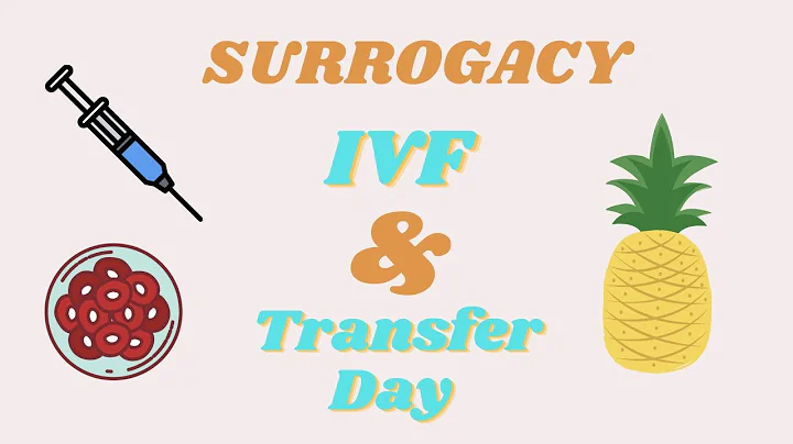 My Surrogacy Journey | IVF + Transfer Day