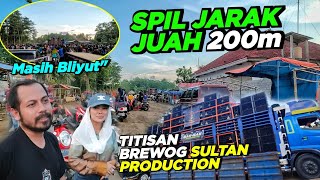 Masih Bliyutspil Jarah Juah 200m Anak Brewog sultan Production Bu Bos Sdanai Gak Kuat