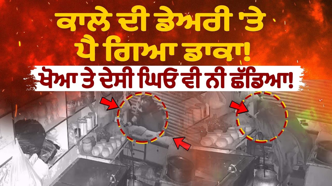 ਕਾਲੇ ਦੀ ਡੇਅਰੀ 'ਤੇ ਪੈ ਗਿਆ ਡਾਕਾ! ਲੁਟੇਰੇ ਨੇ ਖੋਆ ਤੇ ਦੇਸੀ ਘਿਓ ਵੀ ਨੀਂ ਛੱਡਿਆ!