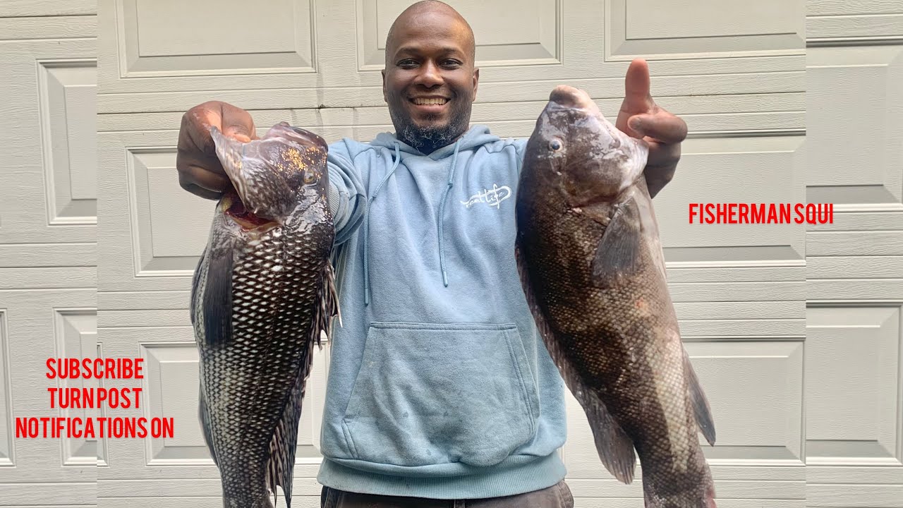 BLACK SEABASS VS BLACKFISH/TAUTOG CATCH CLEAN COOK TASTE TEST YouTube