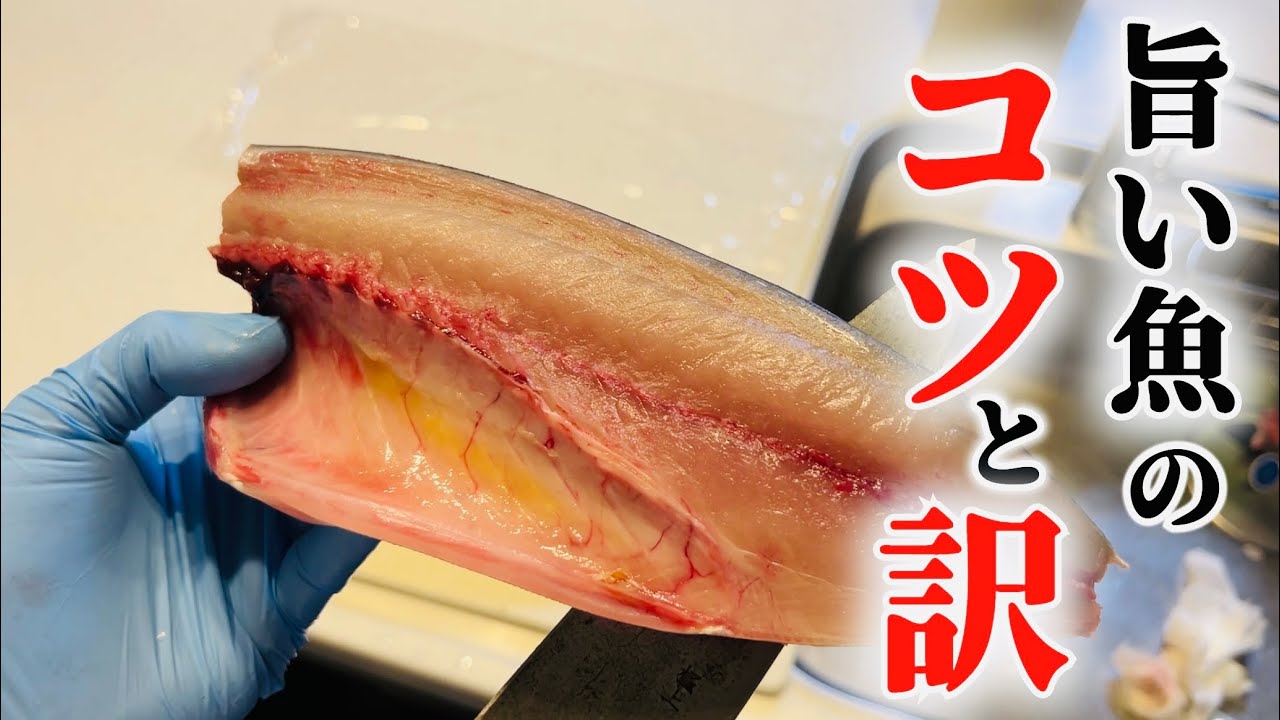 【必ず見て】あなたの魚捌きの間違いが全てこの動画で解決します。
