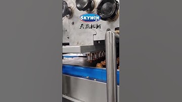Skywin 2 colors deposit & wire-cut cookie making machine!WhatsApp:+86 18024945671#biscuit #machine