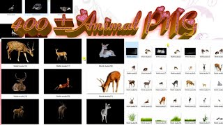 Animal Png 400± Free Download |Animal Png | Photosop |