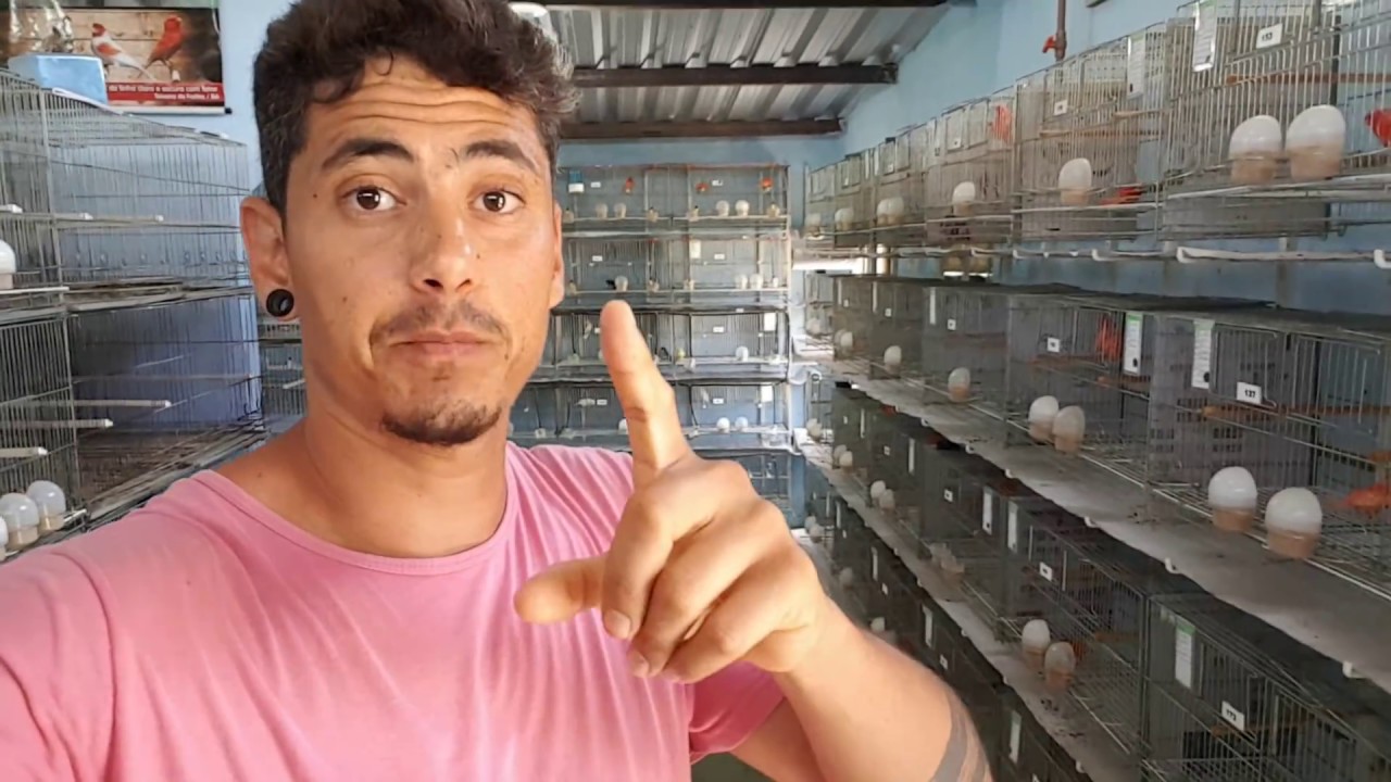 NISTATINA MELHOR TRATAMENTO ATÉ HJ