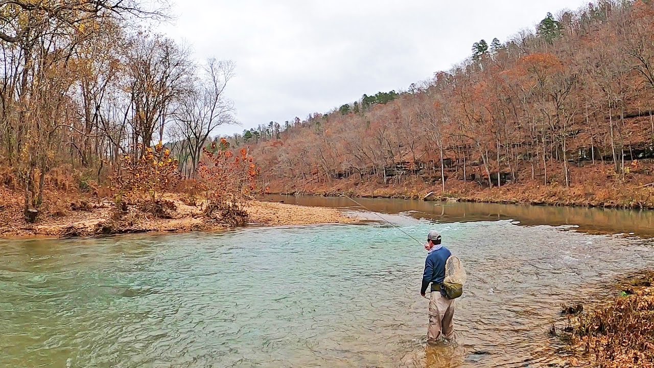 I've Fly Fished for Wild Trout in 9 states in 2020 & these were the 2 hardest - Missouri Trout Slam