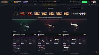 OPENING THE PRINCE CASE (hellcase promo code 2026)