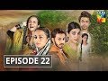 Udaari Episode 22 HUM TV Drama