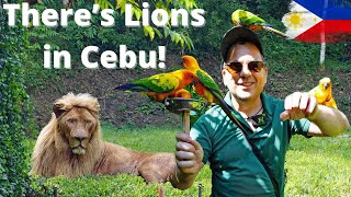 How to Have an Awesome Time at Cebu Safari and Adventure Park