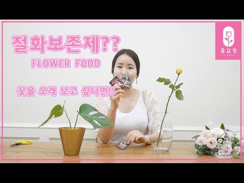 [꽃꽂이_플라워레슨]插花,花 절화보존제? flower food 에 대하여!