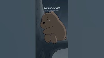 مواساة ربانية 🥺💞 || لا تحزن إن الله معنا || القارئ عبد الرحمن مسعد