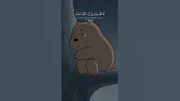 مواساة ربانية لا تحزن إن الله معنا القارئ عبد الرحمن مسعد 