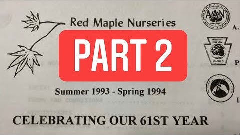 Red Maple Nurseries Collection Part 2 Featuring Billy Schwartz - JAPANESE MAPLE SHOWCASE